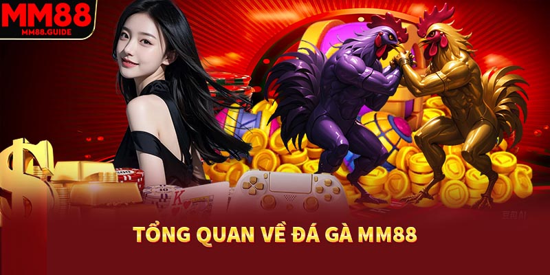 Tìm hiểu chi tiết về sảnh đá gà MM88
