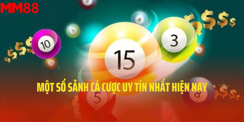 Một số sảnh cá cược uy tín nhất hiện nay