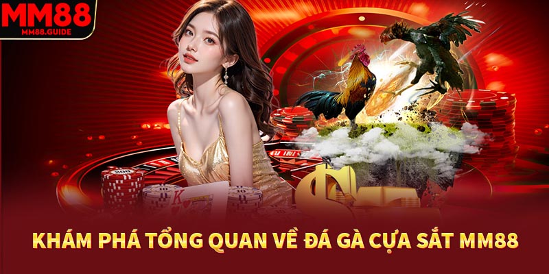 Khám phá tổng quan về đá gà cựa sắt MM88