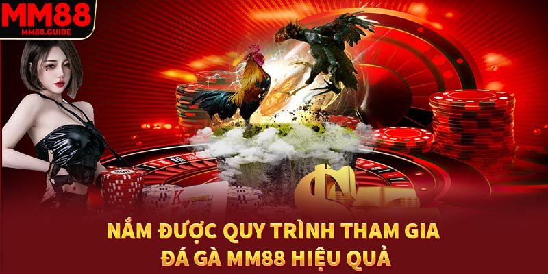 luật chơi đá gà tại MM88 uy tín và công bằng