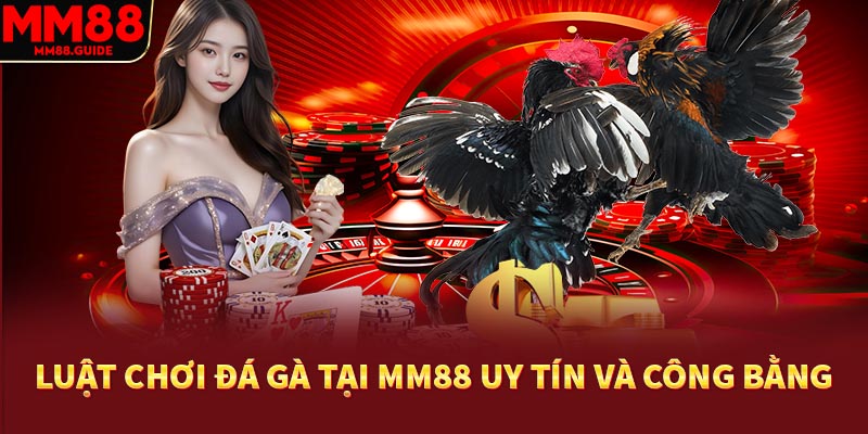Nắm được quy trình tham gia đá gà MM88 hiệu quả