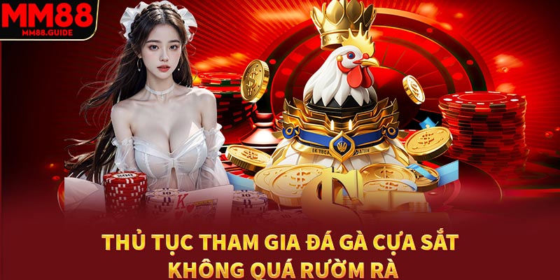 Thủ tục tham gia đá gà cựa sắt không quá rườm rà